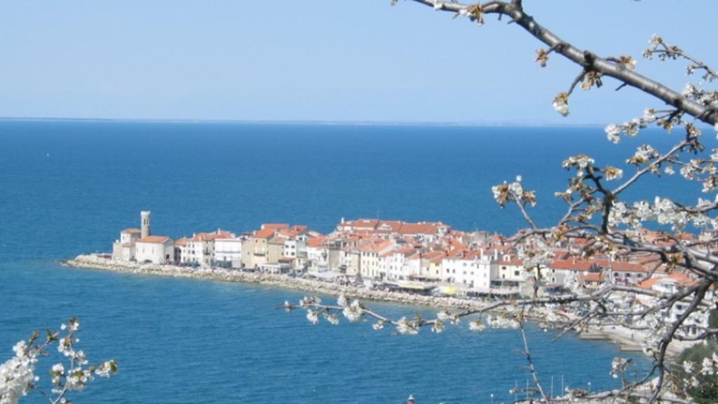 Apartman Hisa 7 Piran
